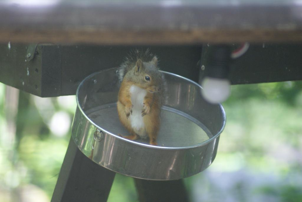 ピッコロホテル オペラ軽井沢 Karuizawa Dış mekan fotoğraf